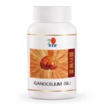 Ganocelium GL (1)